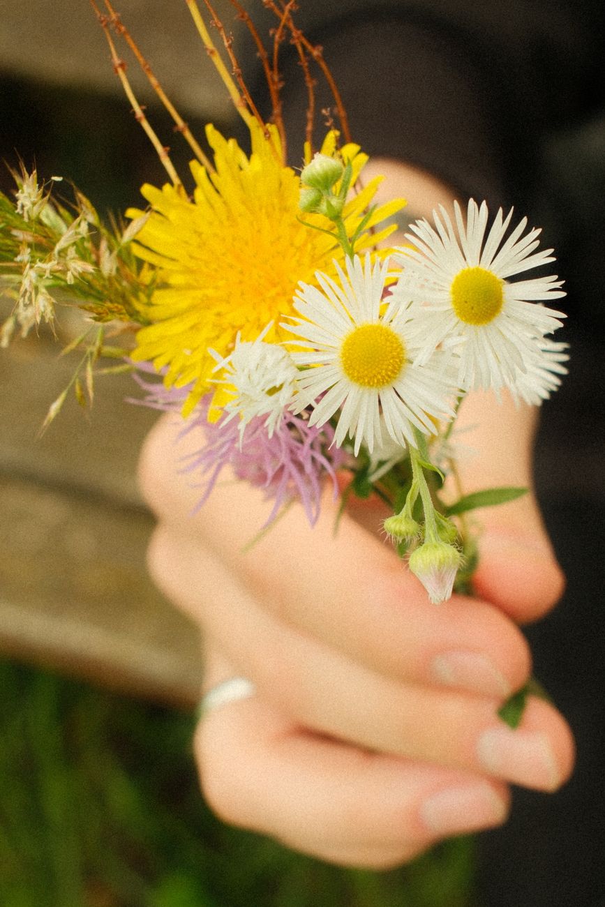 close up of a hand holding wildflower bouquet