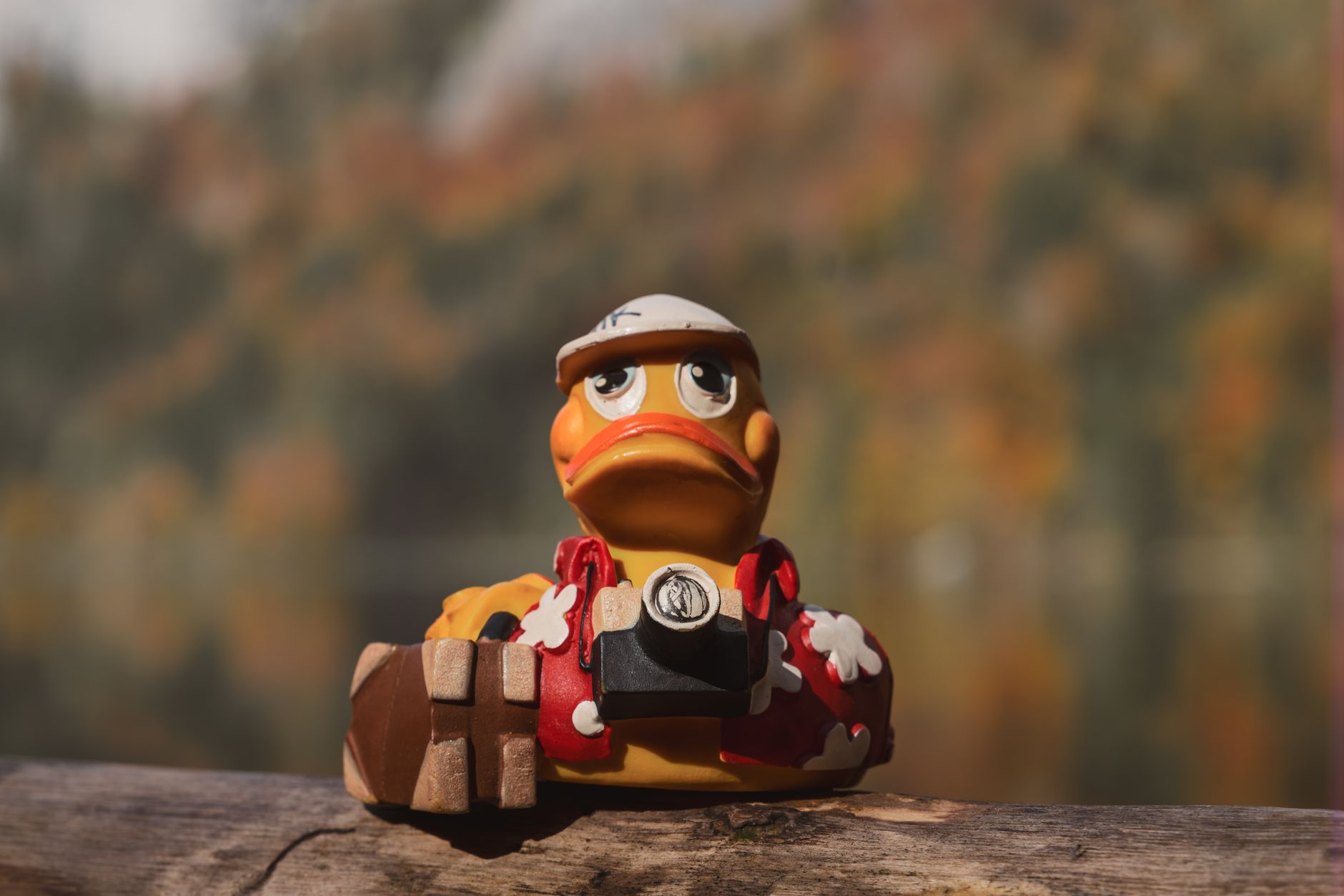 quirky duck toy in scenic autumn setting
