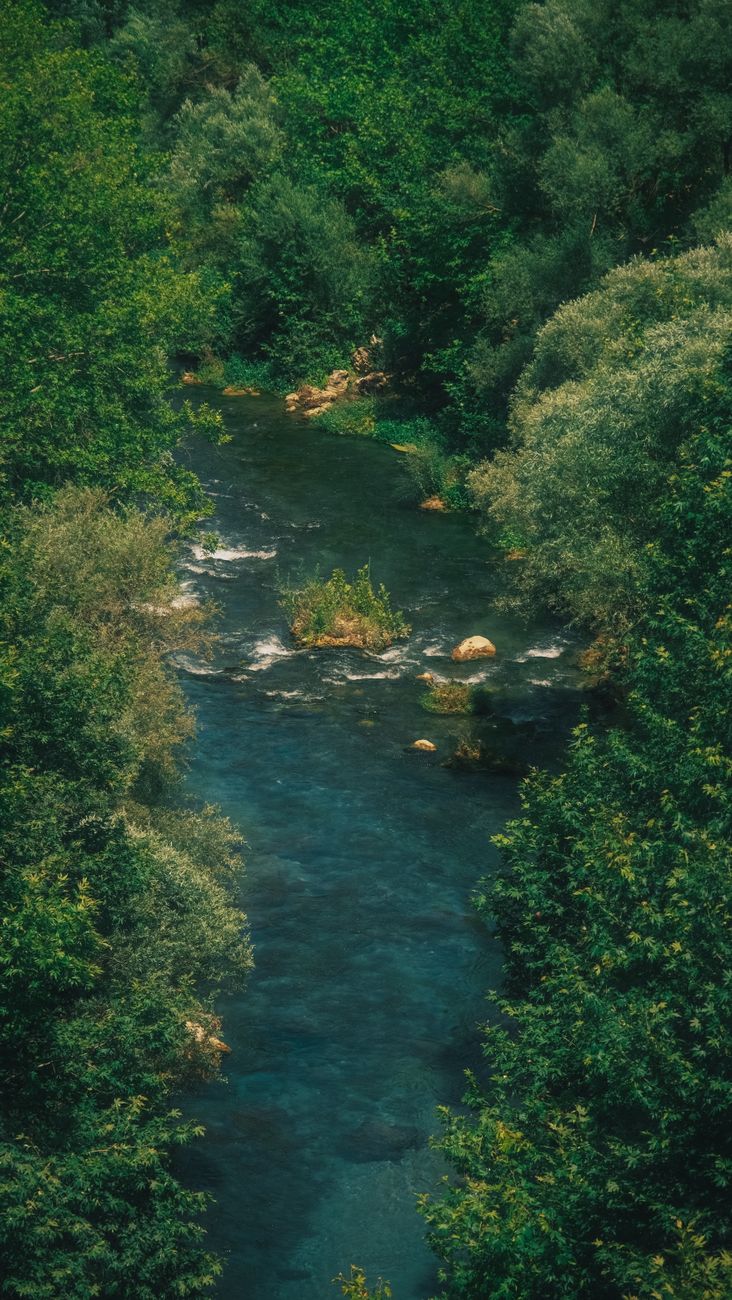 landscape with a river