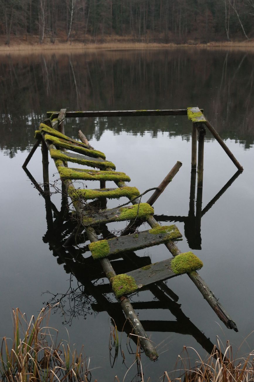 old mossy pier over still lake waters