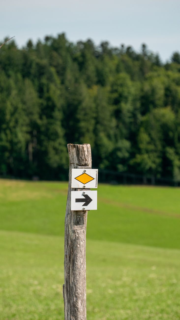 nature trail marker in sunny green landscape
