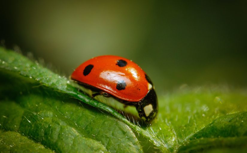 The Richness of Small Moments: Finding Joy in Everyday Life