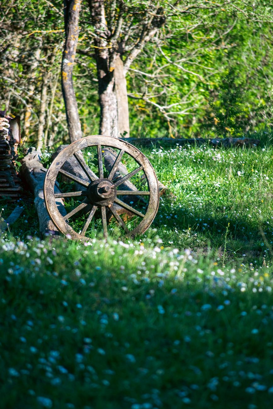 rustic wooden wagon wheel in forest setting
