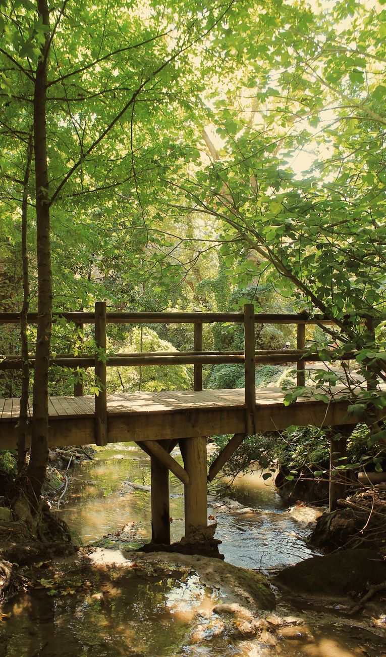 brown wooden bridge over the stream