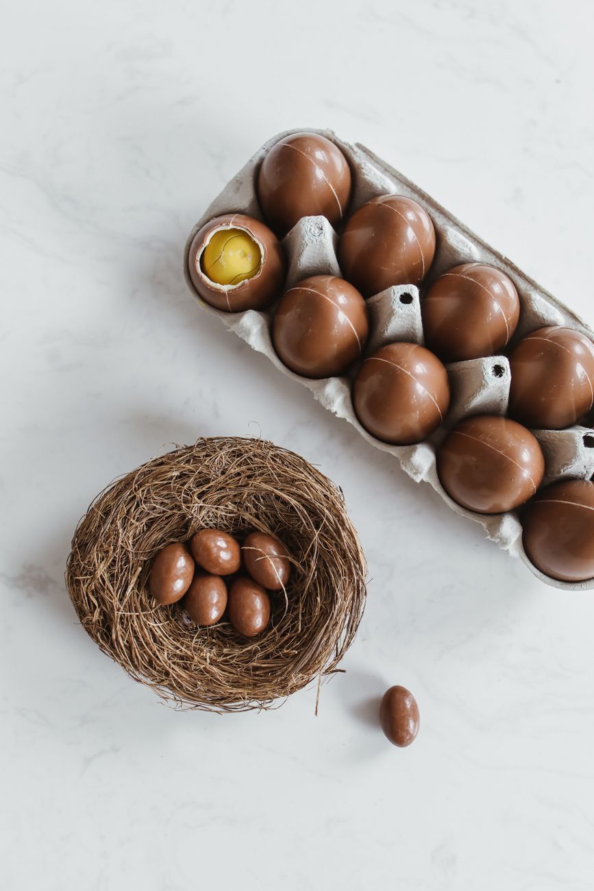 brown eggs on brown nest