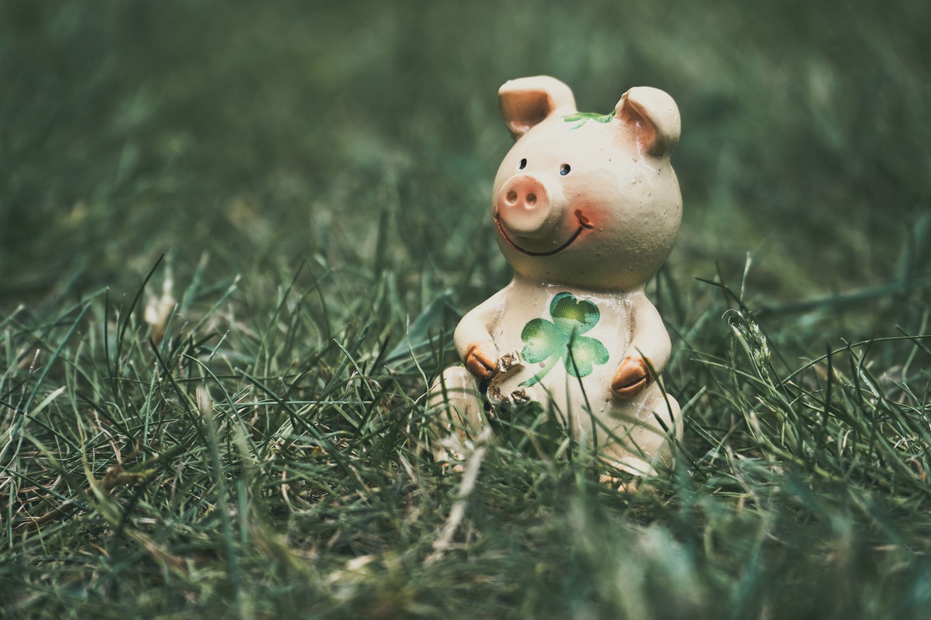 ceramic pig figurine with shamrock in grass