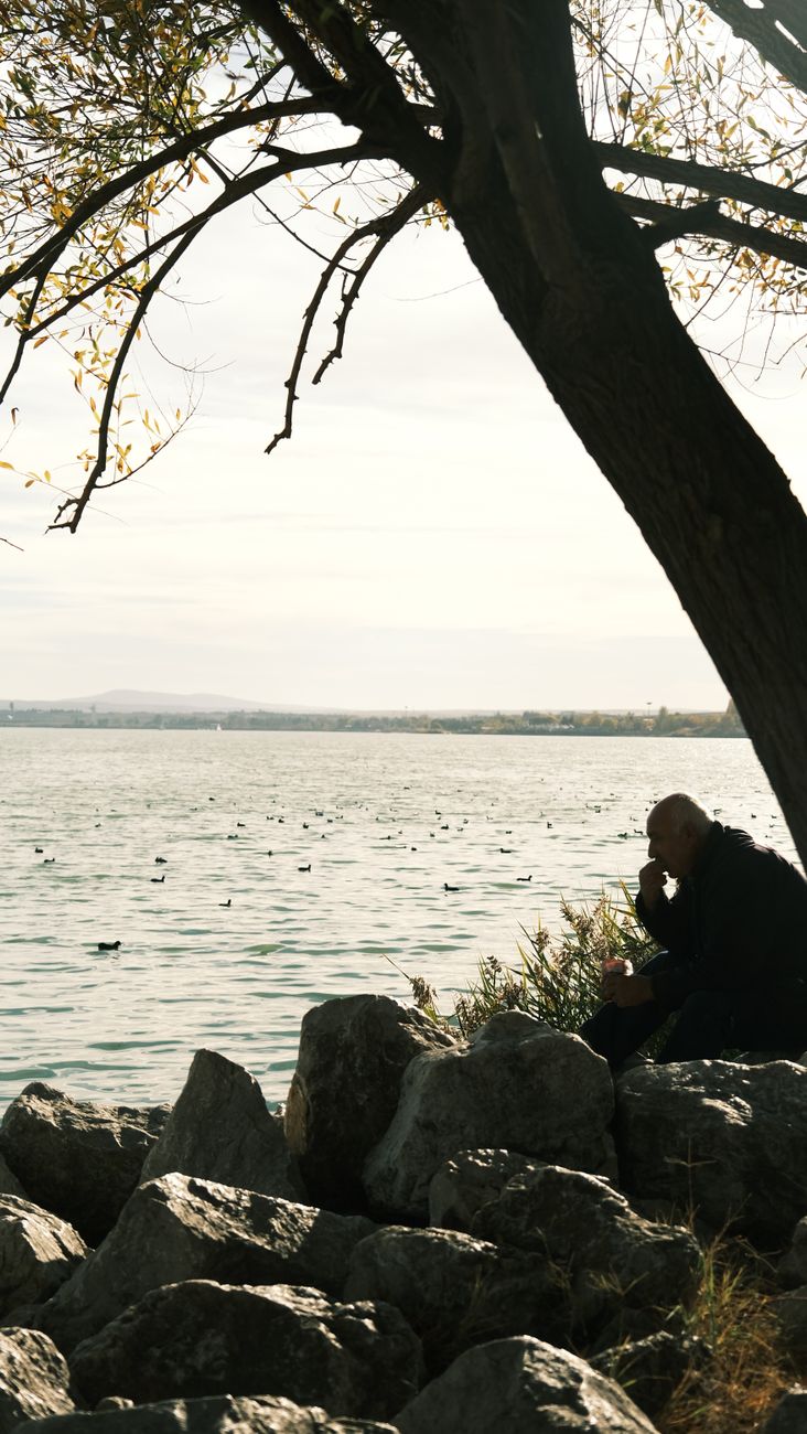 solitary reflection by the lakeside in autumn