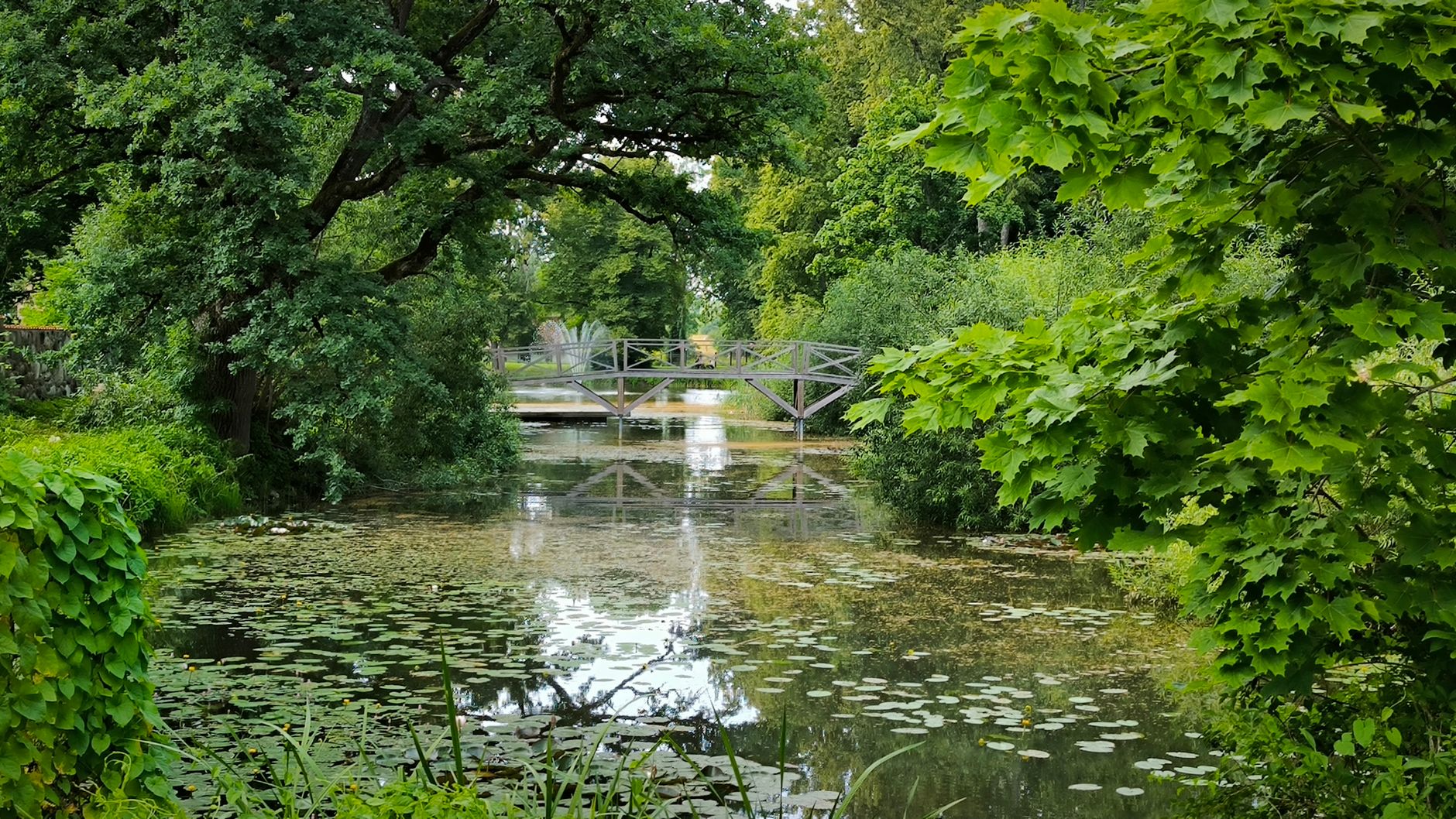 footbridge over pond in park